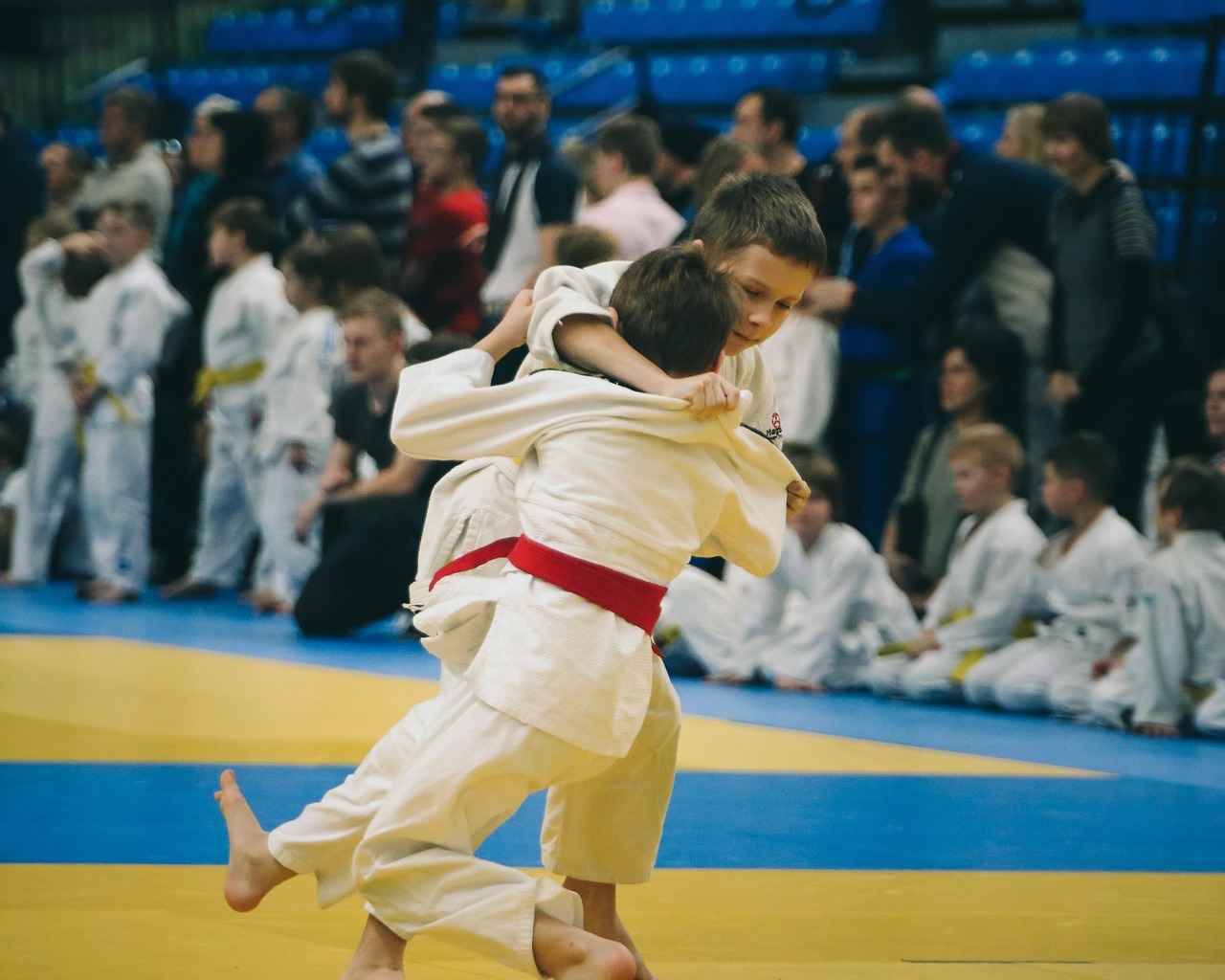 Kimono Nedir?