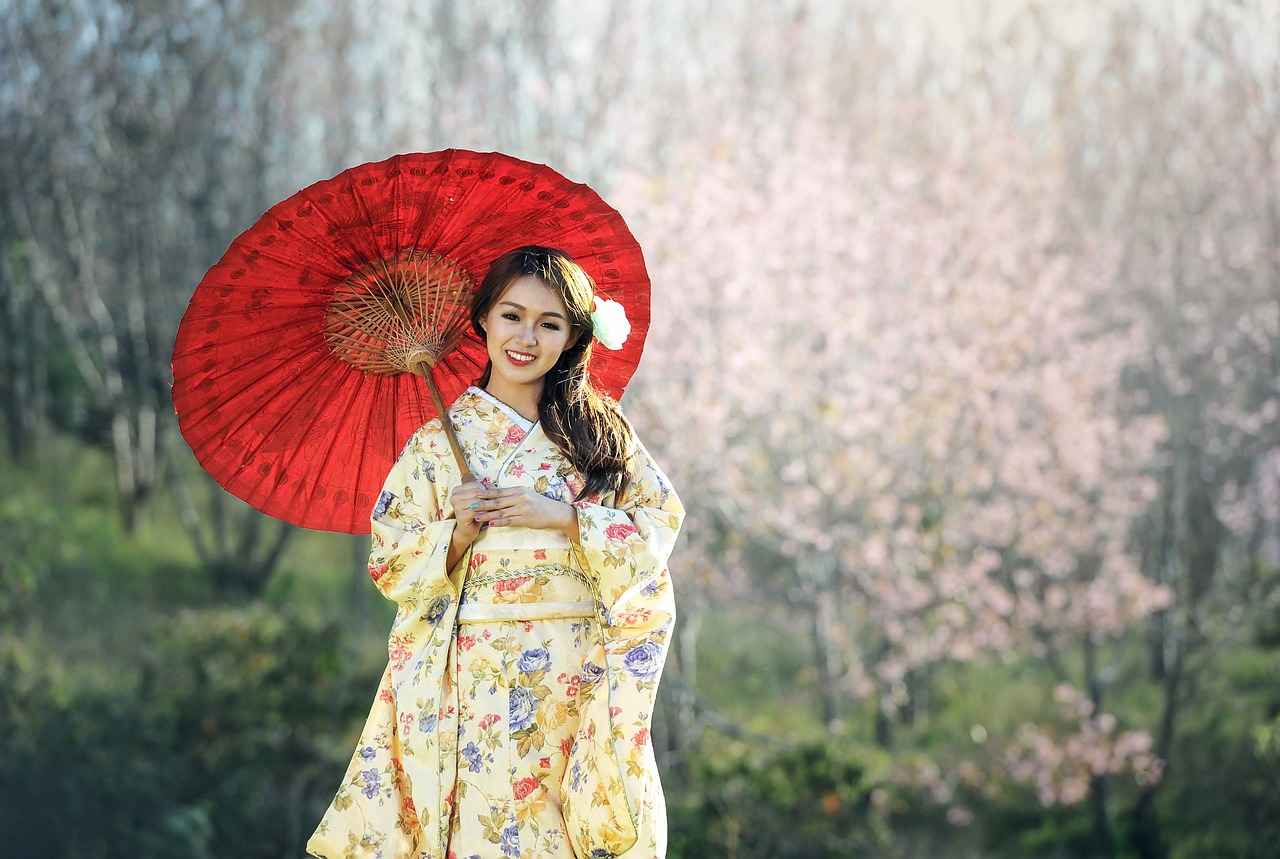 Kimono Nedir?