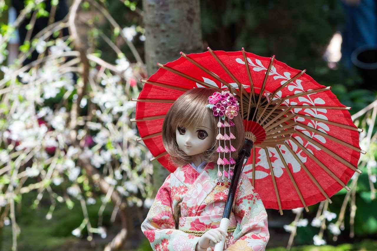 Kimono Nedir?