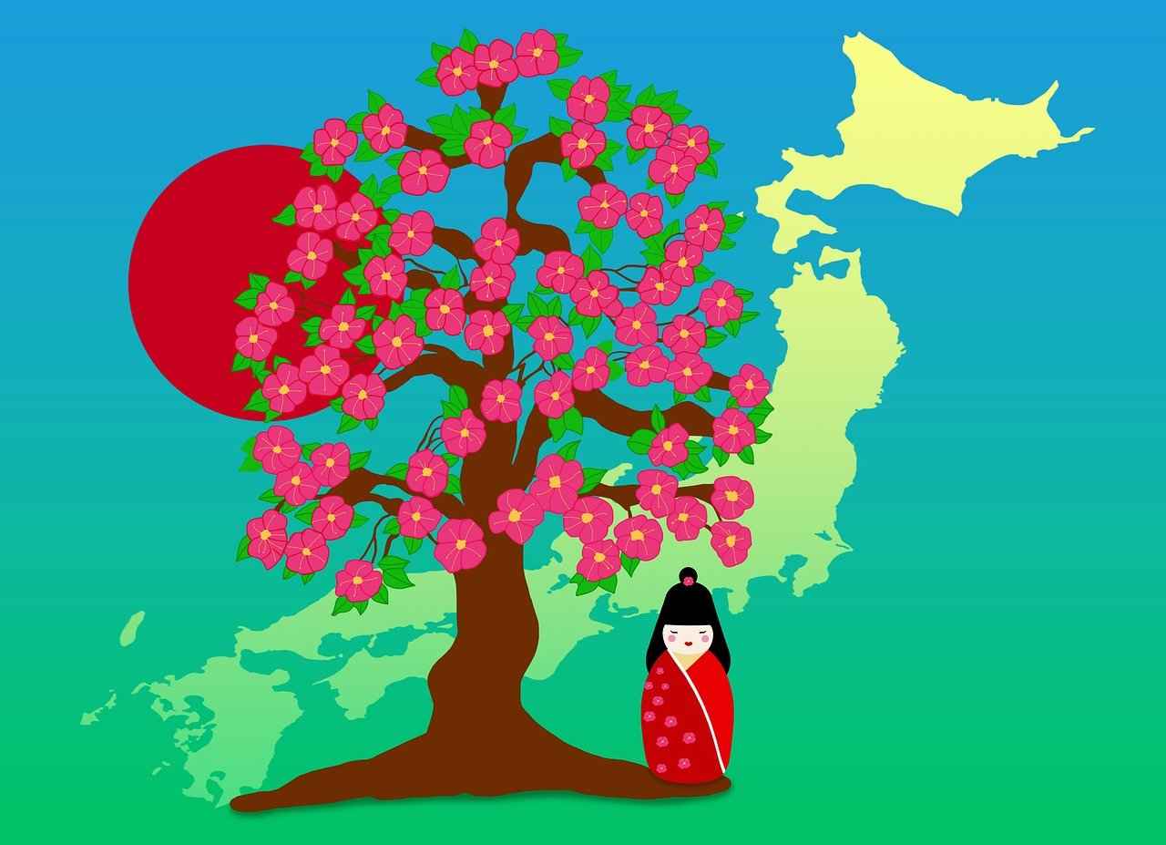 Kimono Kullanım Alanları