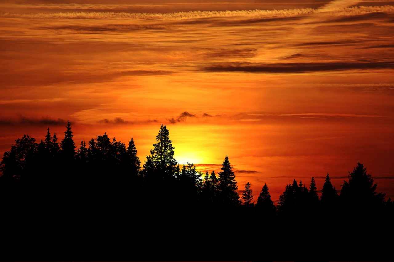 5. Kış Kimonosu Alırken Dikkat Edilmesi Gerekenler